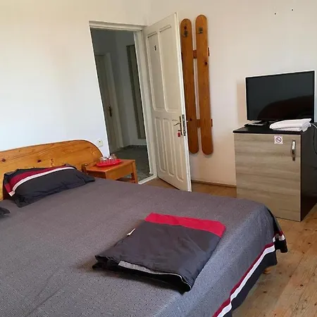 Vila Andreea Gasthuis Două Mai
