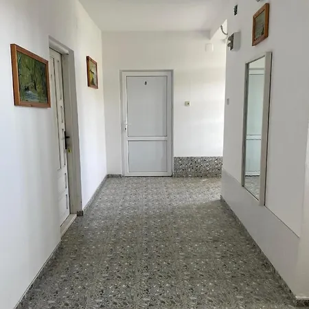 Maison d'hôtes Vila Andreea Două Mai